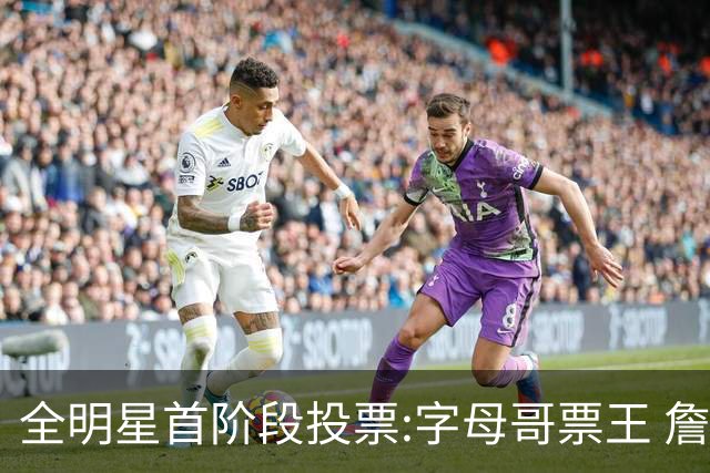 全明星首阶段投票:字母哥票王 詹姆斯西部票王