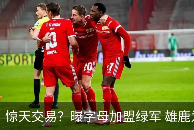 惊天交易？曝字母加盟绿军 雄鹿为布朗寻找第三方