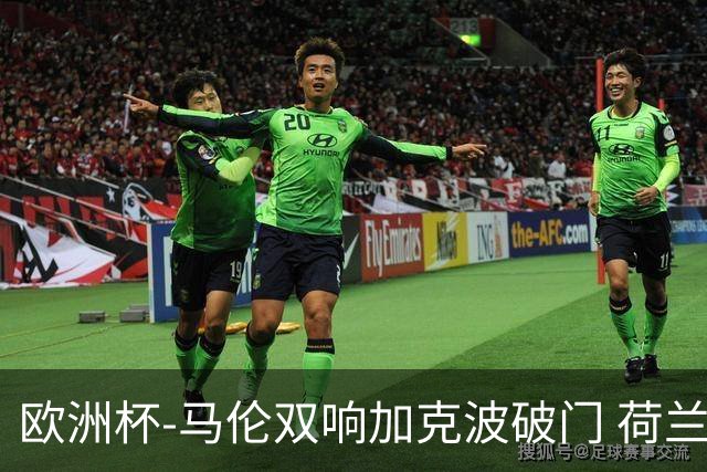 欧洲杯-马伦双响加克波破门 荷兰3-0罗马尼亚