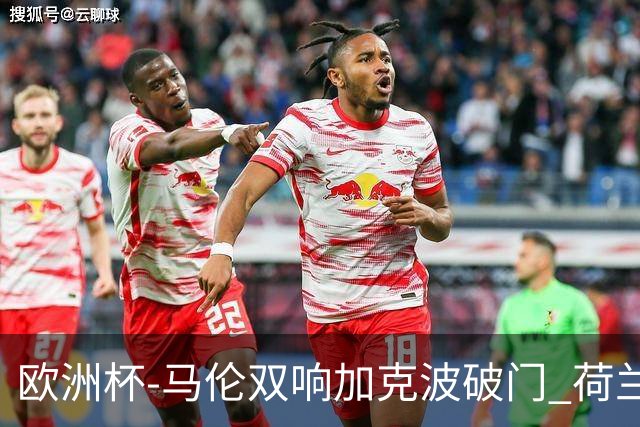 欧洲杯-马伦双响加克波破门 荷兰3-0罗马尼亚